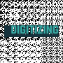 truedigitizing