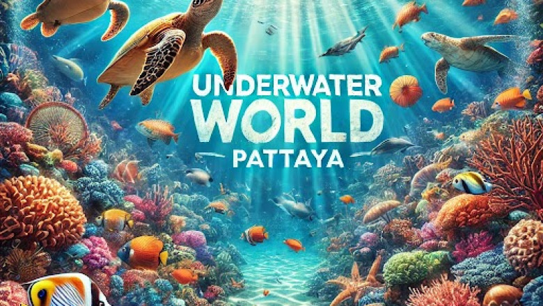 Underwater World Pattaya – Explore Thailand’s Marine Life