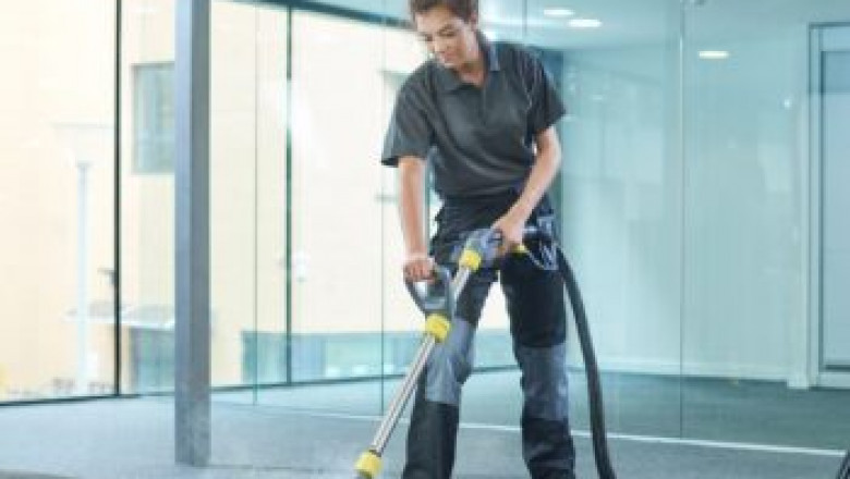 Carpet Cleaning Services That Are Safe for Kids and Pets
