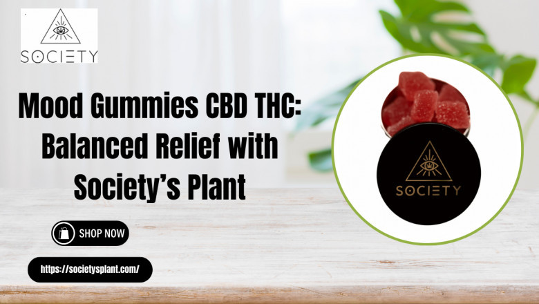Mood Gummies CBD THC by Society’s Plant | Wellness Support