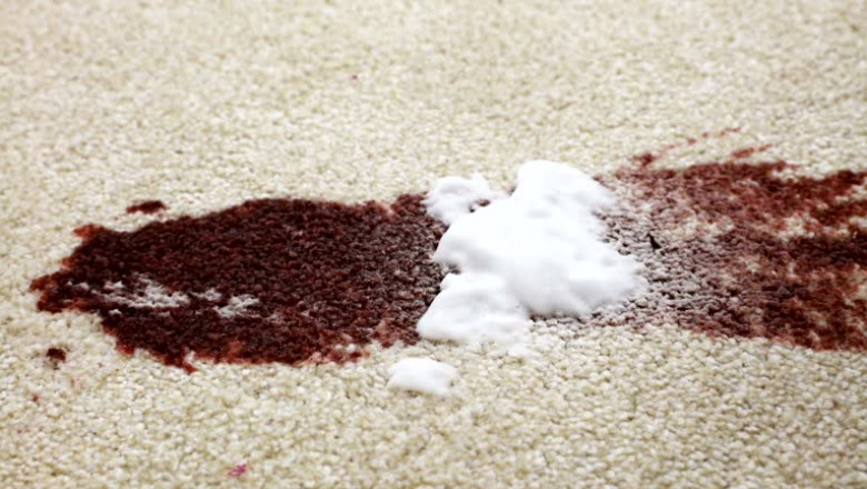 Carpet Steam Cleaning Explained: Methods, Benefits, Costs