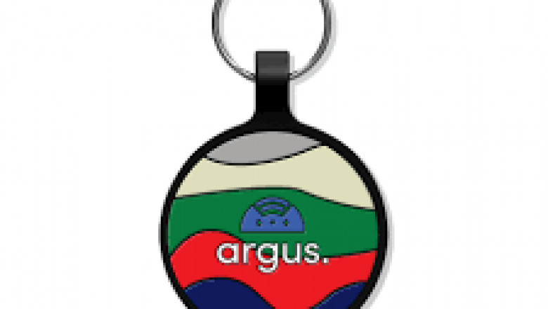 How to Create a QR Dog Tag for Your Pet at Home