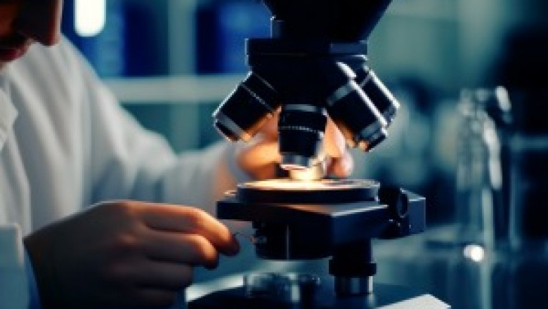 Opioids vs. Regenerative Alternatives for Pain Relief: Breaking Down the Differences
