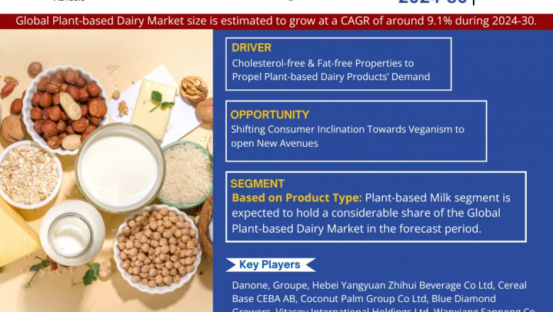 Plant-based Dairy Market Insights: Demand, Share, and Key Players 2030