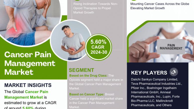 Cancer Pain Management Industry Growth Trends and Competitive Analysis 2030