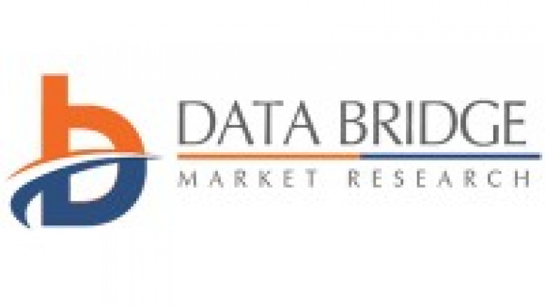 Automated Border Control Market Leaders: Growth, Share, Value, Analysis, and Trends