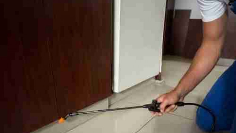 Don't Let Pests Ruin Your Lease: Effective Bed Bug & Silverfish Control in Melbourne